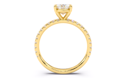 Luxe Aimé Lustre Pavé