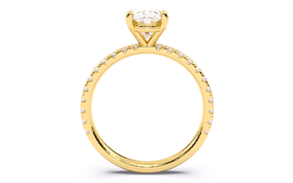 Luxe Aimé Lustre Pavé