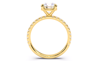 Luxe Aimé Lustre Pavé